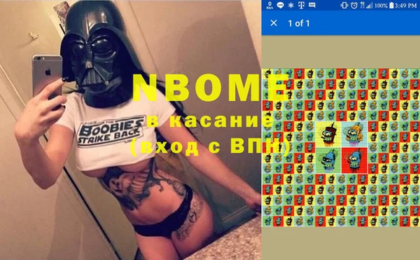 твердый Абаза