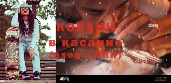 твердый Абаза